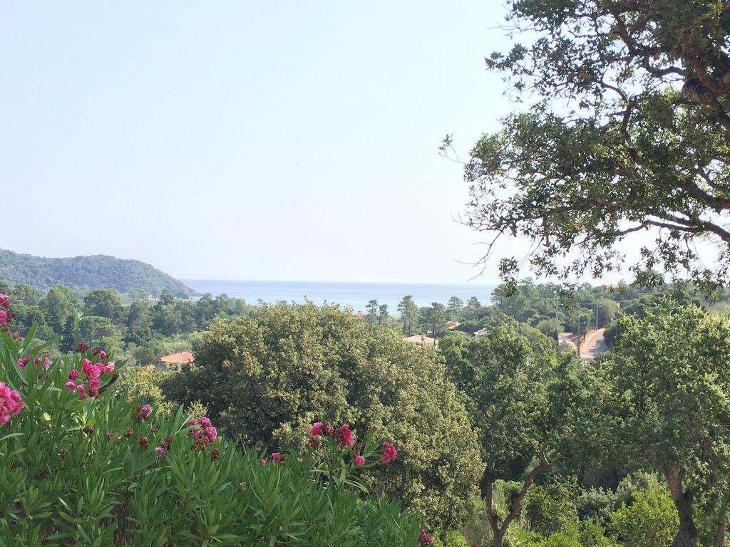 Thalassa Sainte-Lucie de Porto-Vecchio Exterior foto